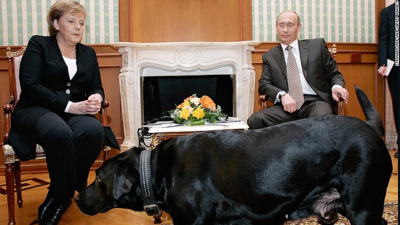 BILD: Ξανά συγγνώμη από Πούτιν προς Μέρκελ, λόγω του συμβάντος με τον σκύλο του
