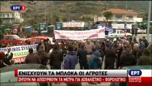 agrotes_4