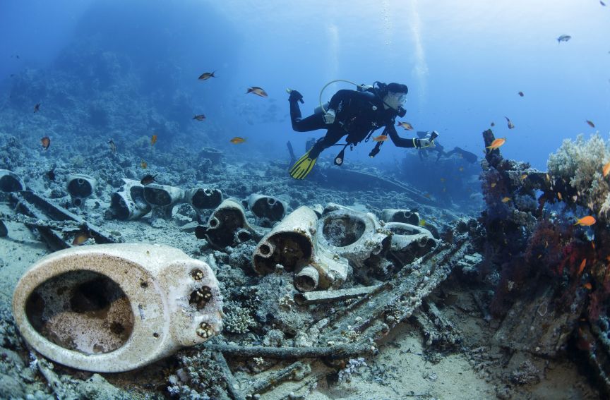 WWF: “Η Μεσόγειος οδεύει προς την εξουθένωση”