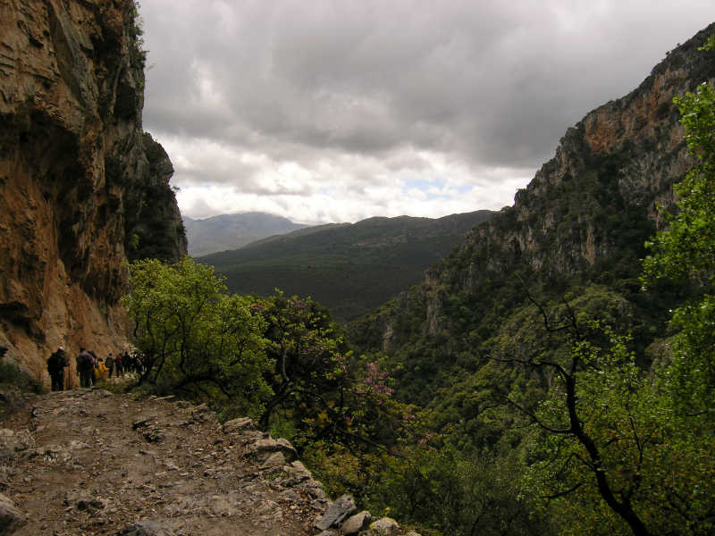 Τρίπολη: Κοπή πίτας για ΣΑΟΟ την Κυριακή