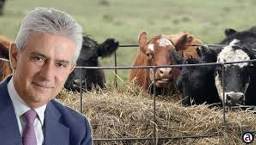 Ερώτηση Α. Δημοσχάκη για τις αποζημιώσεις των κτηνοτρόφων του Έβρου
