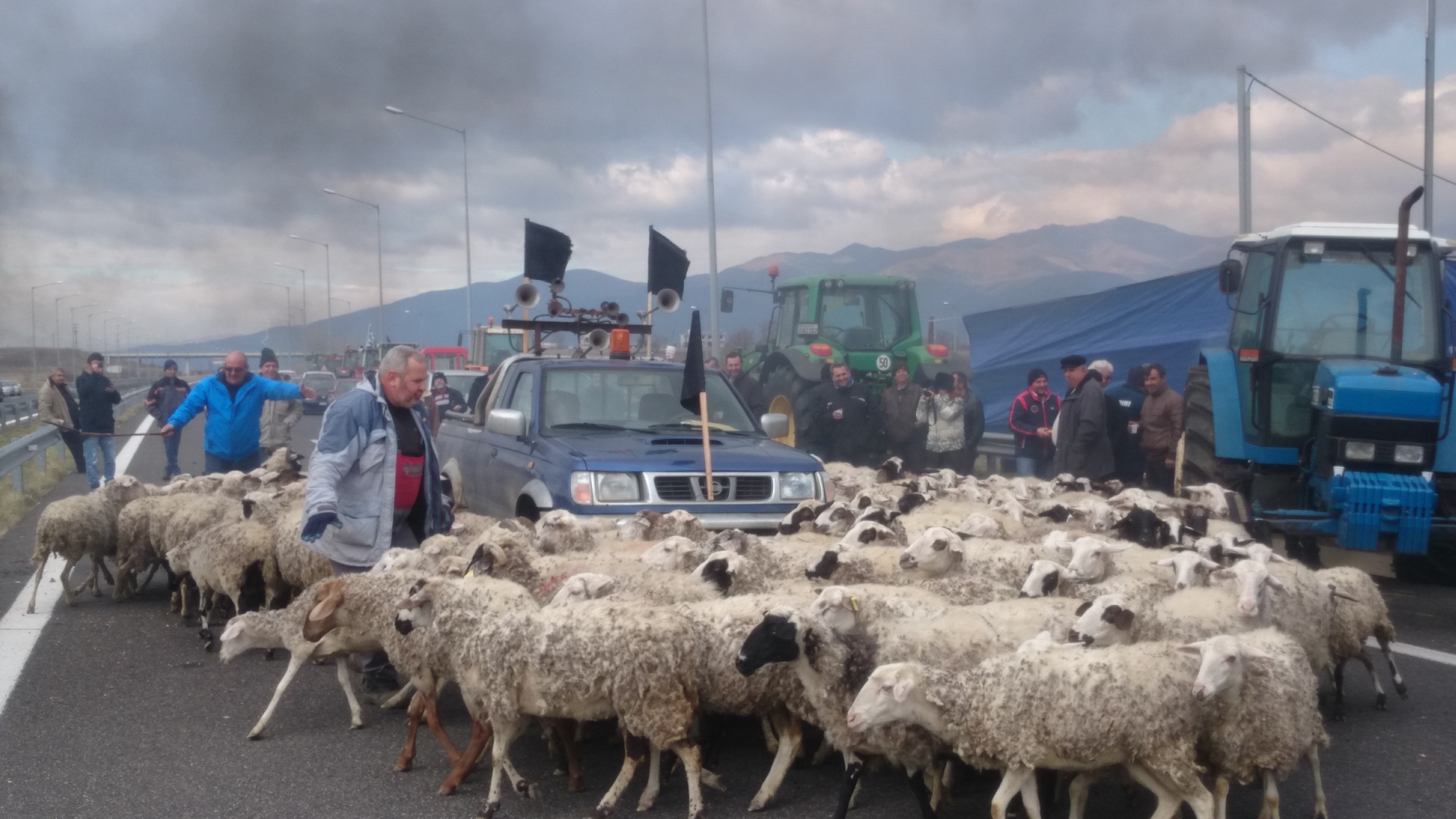 Κομοτηνή:Κλιμάκωση στους αποκλεισμούς Και πρόβατα στα μπλόκα…