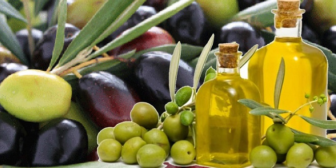Πρόσκληση ενδιαφέροντος για τη συμμετοχή παραγωγών της Περιφέρειας Θεσσαλίας στην 26η AGROTICA Διεθνή Έκθεση Θεσσαλονίκης από 28/01/2016  έως  31/01/2016
