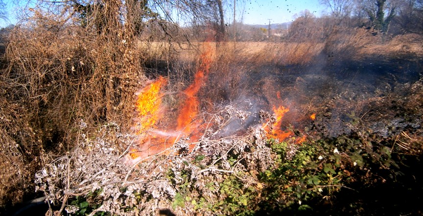 Κως: Υπό έλεγχο η πυρκαγιά στο Λιμνιώνα της Κεφάλου