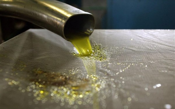 Χανιά: Άλμα 20% στην τιμή του ελαιολάδου στην Ευρώπη