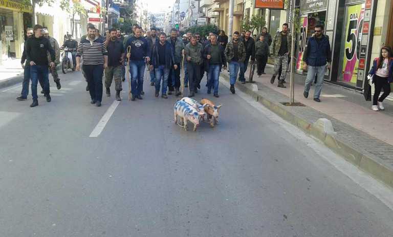 Χανιά: Πορεία με γουρούνια στο κέντρο του Ρεθύμνου – Video