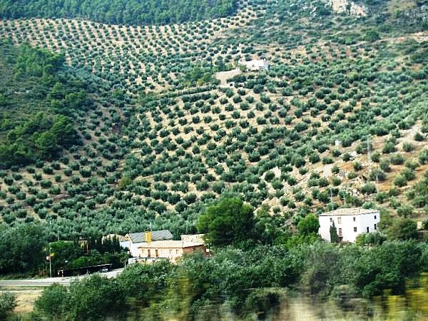 ΕΡΤ Χανίων – Ν. Μιχελάκης: Οι αγρότες της Κρήτης έχουν ήδη απώλειες ύψους 106 εκ. ευρώ λόγω της νέας ΚΑΠ
