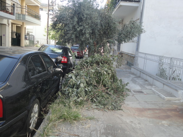 Βόλος : Πρόβλημα στην αποκομιδή κλαδιών και αντικειμένων σε Αγριά και Ν. Ιωνία