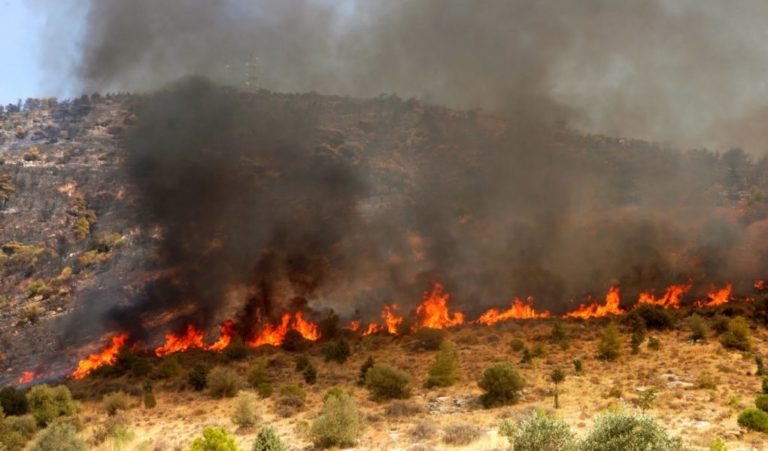 Χανιά: Εστίες φωτιάς λόγω νοτιά – Στο Ρέθυμνο η μεγαλύτερη