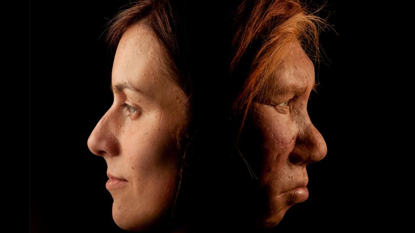 sn-neandertal_2