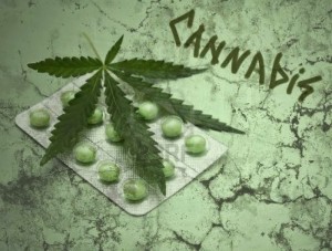 16233846-a-leaf-of-marijuana-cannabis