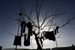 Ρούχα προσφύγων και μεταναστών κρεμασμένα σε δέντρο στο λιμάνι του Πειραιά