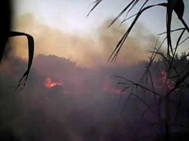 Χανιά: Σε επιφυλακή η Πυροσβεστική… Μέτωπα φωτάς σε Δυτική και Ανατολική Κρήτη