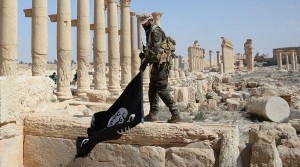 Palmyra