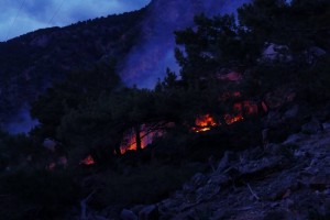 agia-roumeli-fotia-12