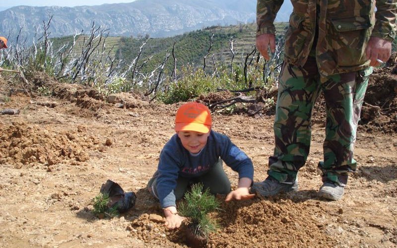 Πύργος: Δεντροφυτεύσεις σε Καϊάφα – Σπιάντζα