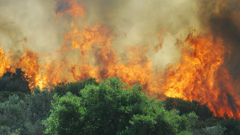 Χανιά: Σε ύφεση η φωτιά στην Κίσαμο