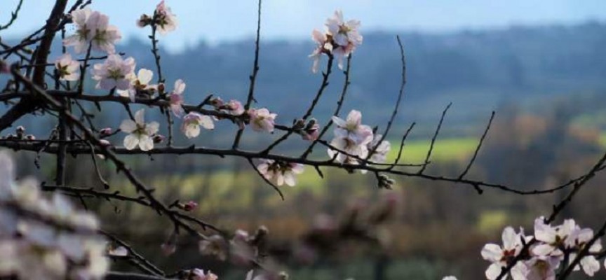 Αίθριος o καιρός με αραιές νεφώσεις – Μικρή άνοδος της θερμοκρασίας (vid)