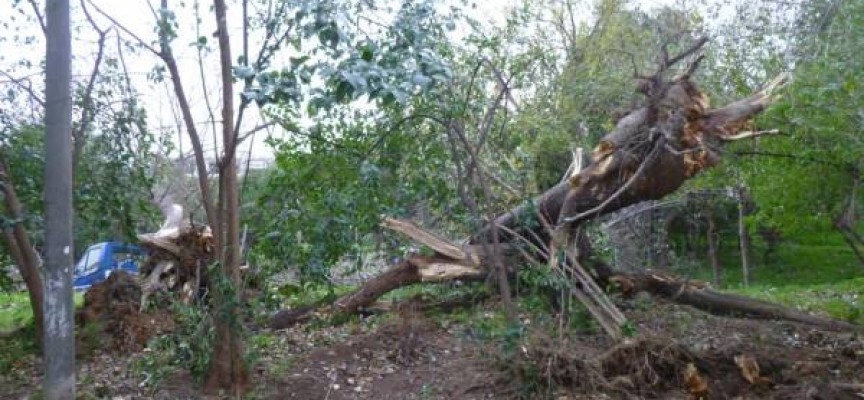 Χανιά: Αναγγελία ζημιάς από ανεμοθύελλα στο Θέρισο