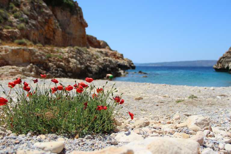 Χανιά: Πρωτοβουλίες για καλή παρουσία της Κρήτης σε τουριστικές εκθέσεις