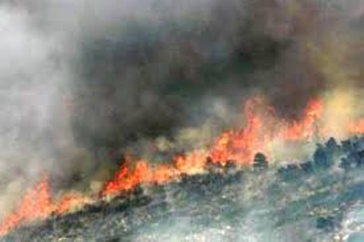 Έσβησε η φωτιά στο Μελισσοχώρι Θεσσαλονίκης