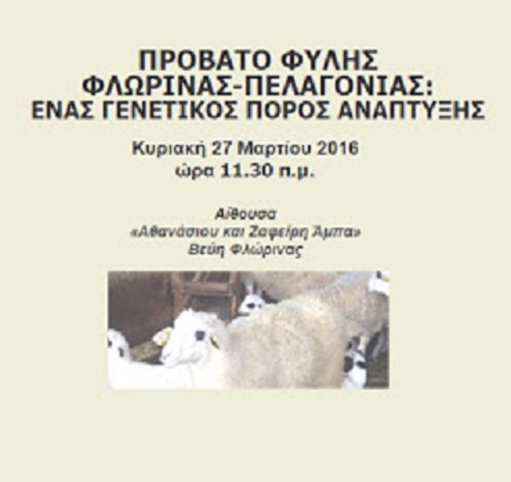Φλώρινα: Ημερίδα με θέμα “Πρόβατο Φυλής Φλώρινας- Πελαγονίας: Γενετικός Πόρος Ανάπτυξης”