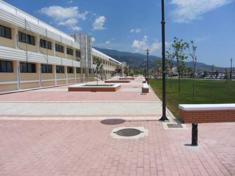 Βόλος: Διάλεξη με θέμα “Φωτοσύνθεση κινδύνου: η γοητεία της ανακάλυψης και η ικανοποίηση του ερευνητή”