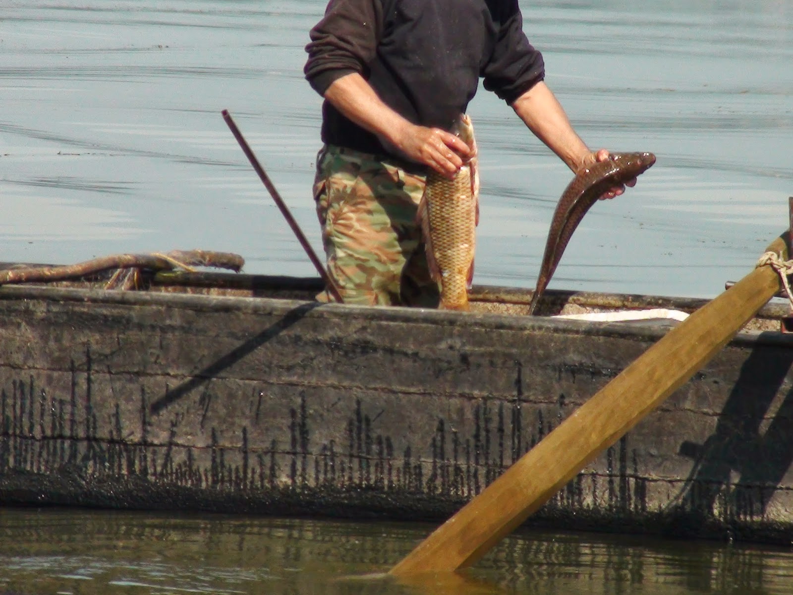Σέρρες: Απαγόρευση αλιείας