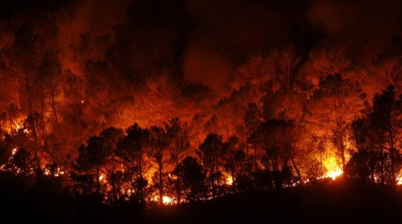 Μαγνησία: Φωτιά καίει δάσος μετά το Καράβωμα Πηλίου-Δεύτερο μέτωπο κοντά στη Ζαγορά