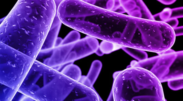 Μπορούν τα “καλά” βακτήρια του εντέρου να μας προστατεύσουν από τον καρκίνο;