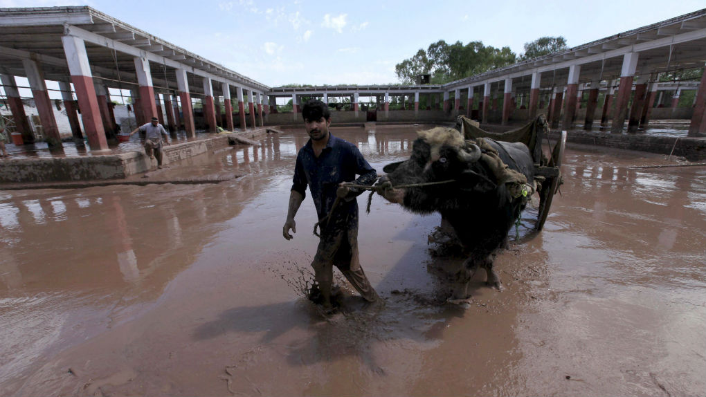 Δεκάδες νεκροί και χιλιάδες εγκλωβισμένοι από τις καταρρακτώδεις βροχές στο Πακιστάν