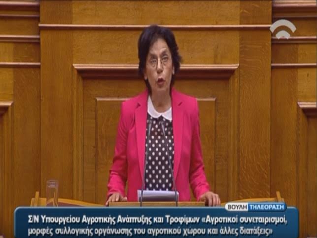 Χανιά: Β. Βαγιωνάκη… Εργαλείο ανάπτυξης το νομοσχέδιο για τους συνεταιρισμούς (Video)