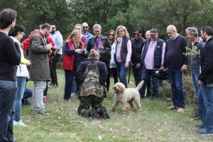 Mουσείο Μανιταριών
