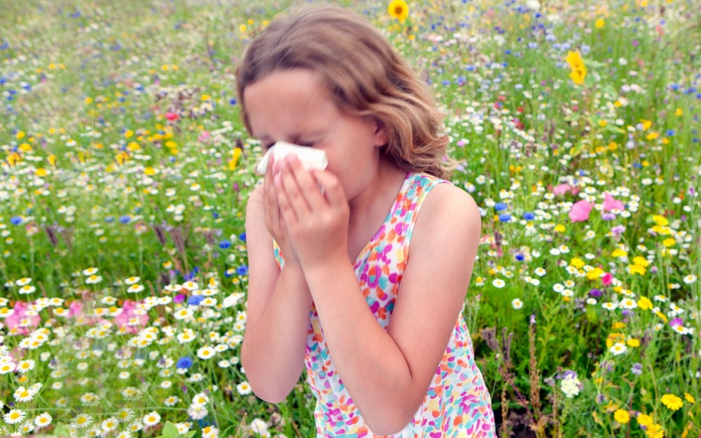 Με “δούρειο ίππο” νανοσωματίδιο καταπολεμούν αλλεργίες και άσθμα
