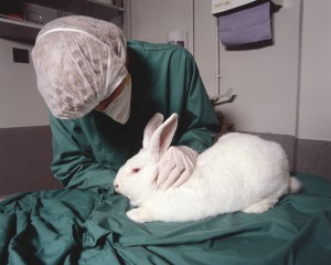 Λέμε “όχι” στα πειραματόζωα -Παγκόσμια Ημέρα Κατάργησης Πειραμάτων σε Ζώα