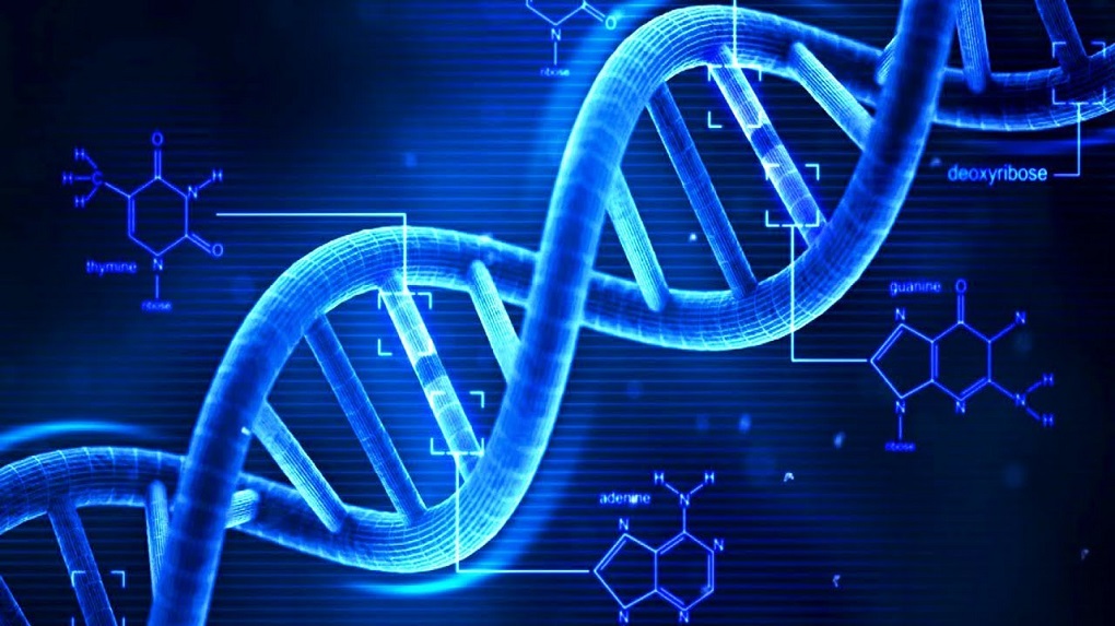 Ανάλυση του DNA αποκάλυψε 13 «σούπερ-ήρωες»