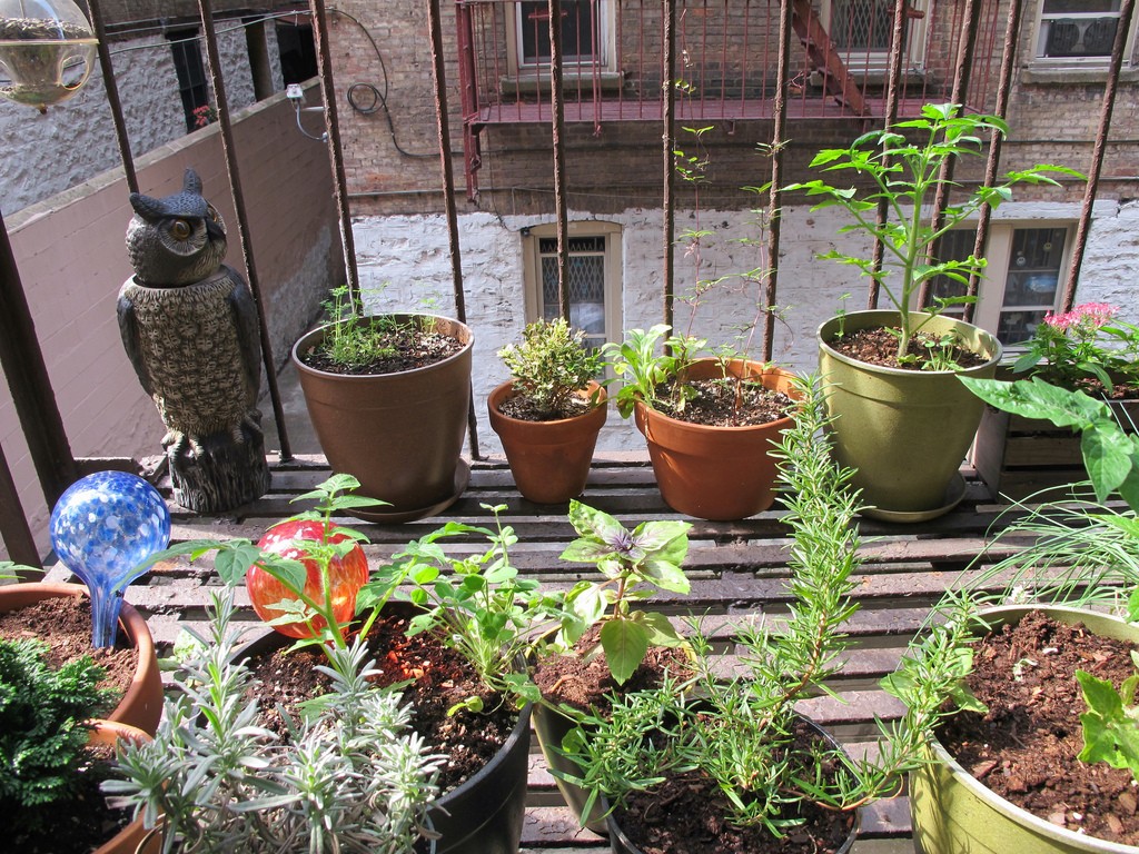 garden-1