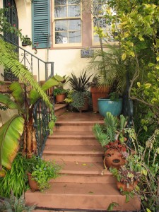 garden