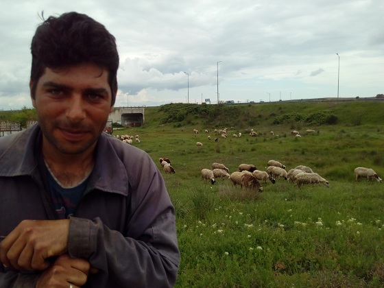 Κομοτηνή: Νέος κτηνοτρόφος μόνος ψάχνει