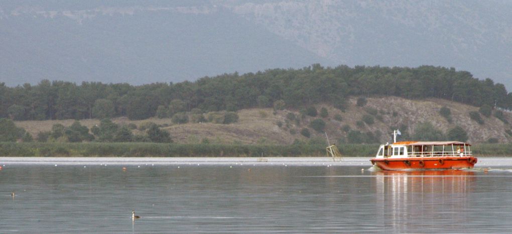 Έκθεση «Παμβώτις» στους χώρους του Ιστορικού Αρχείου Ηπείρου