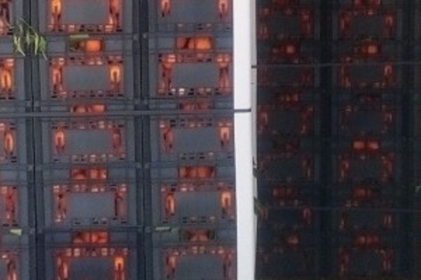 Φλώρινα: Διανομή τροφίμων από το πρόγραμμα ΤΕΒΑ