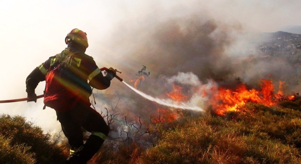 Ιεράπετρα: Πυρκαγιά έκαψε  15 στρέμματα