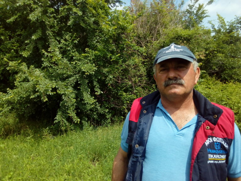 Οι υλοτόμοι της Ροδόπης