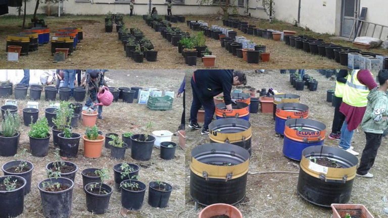 Δημιούργησαν αυτοδιαχειριζόμενο λαχανόκηπο για πρόσφυγες στις Θερμοπύλες