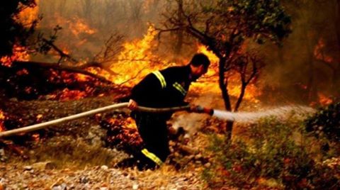 Βόλος: 503.700 ευρώ στην Μαγνησία από τους ΚΑΠ για πυροπροστασία