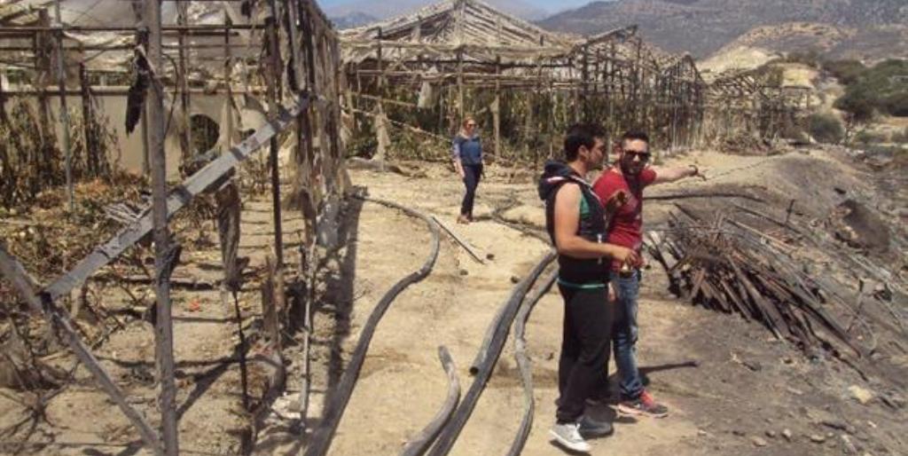 Λασίθι: Ανοικτές «πληγές» στην Ιεράπετρα από τη φωτιά