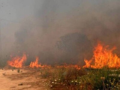 Φωτιά στις Μικροθήβες έκαψε 90 στρ. με χόρτα και πουρνάρια 
