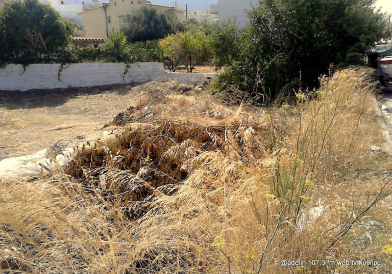 Δήμος Ήλιδας: Καθαρίστε τα οικόπεδα