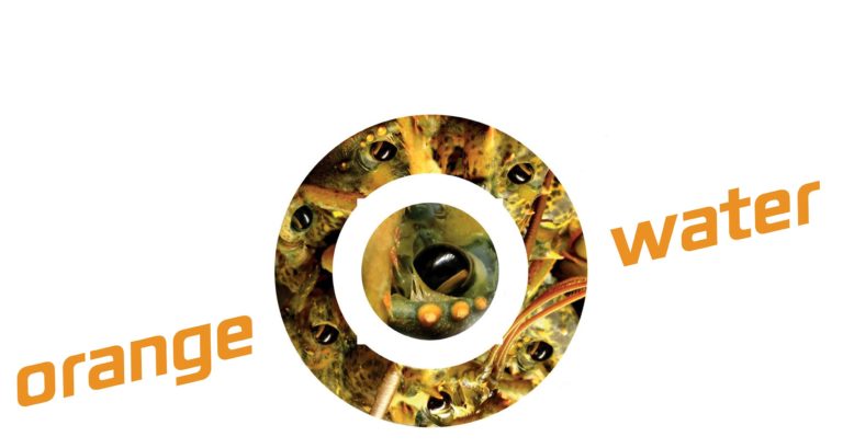 Ξεκινάει το φεστιβάλ “Orange Water 2016”