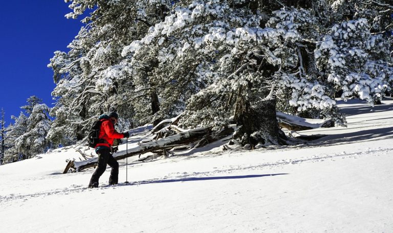 Φλώρινα: Στο ELBRUS 2016 στα Καυκάσια Όρη ο ορειβάτης Θεοδωρής Φάτσης